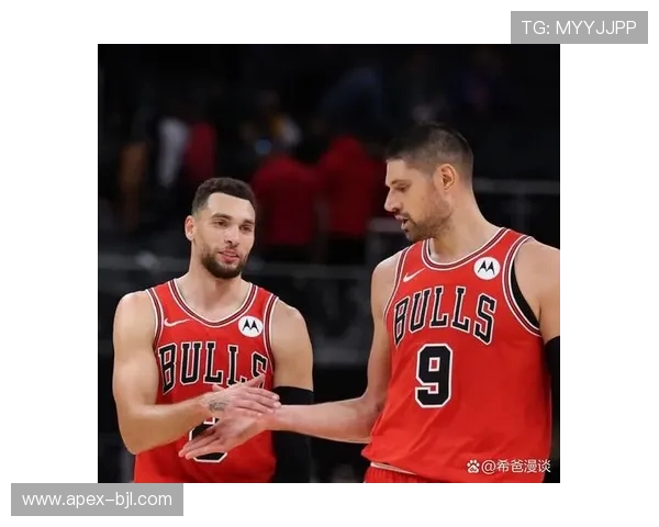 球星卡(NBA):9293赛季NBA总冠军芝加哥公牛队 球星卡(NBA):9293赛季NBA总冠军芝加哥公牛队